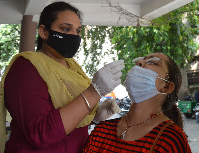 Covid-19: One tests positive in Ludhiana district