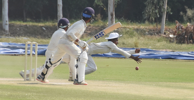 Ludhiana hold fort against Moga in cricket tournament