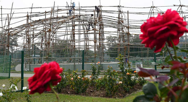 Chandigarh Municipal Corporation to celebrate Teej festival at Rose Garden