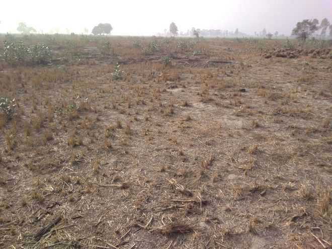 Row over 86 acres land at Chandpur village in New Chandigarh