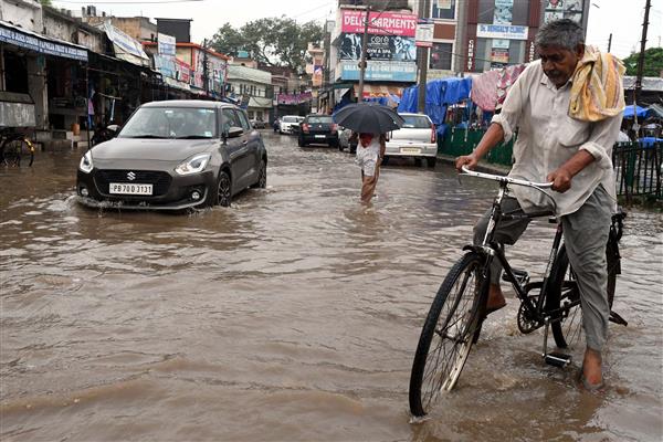 Rains lash many parts of Punjab, Haryana; mercury drops