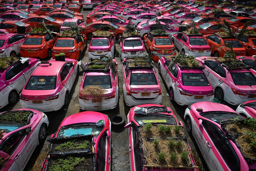 Green-thumbed Thai cabbies turn taxis into gardens amid COVID-19 crunch