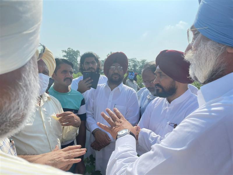 Punjab CM Charanjit Channi promises farmers full crop compensation for bollworm attack
