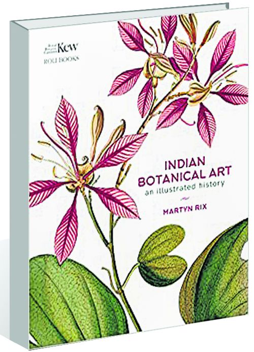 ‘Indian Botanical Art’: An ode to unknown artists Flowers from canvas of unknown artists