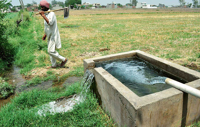 Punjab's water crisis : The Tribune India