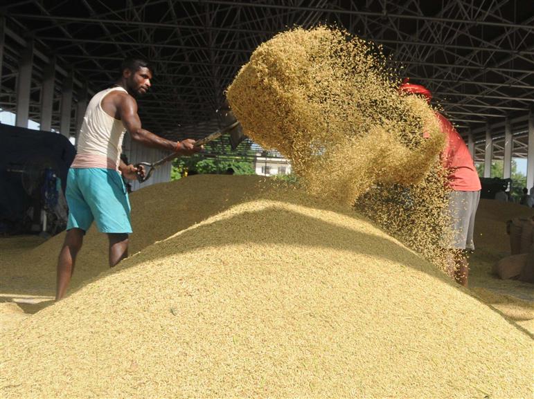 India set to achieve record production of 150.50 MT this Kharif season, says Centre