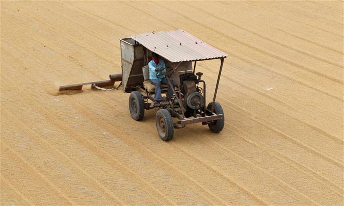 Agriculture: Land records integrated with Centre’s e-portal by all but 3 states
