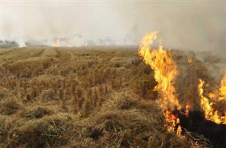 In anticipation of stubble burning, Bhupender Yadav discusses action plan with Haryana, Delhi, Rajasthan, Punjab and UP