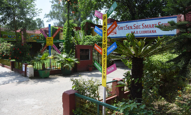 1,332 primary, upper primary schools turn smart in Ludhiana district