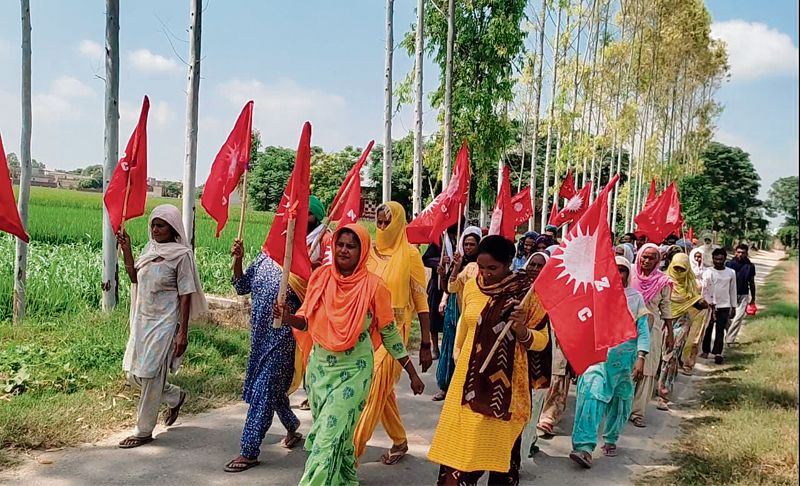 Dalits take possession of land in Sangrur