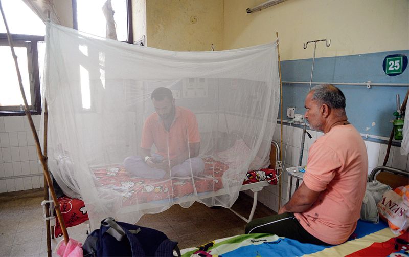 Dengue raising its head, tally reaches 31 in Jalandhar district