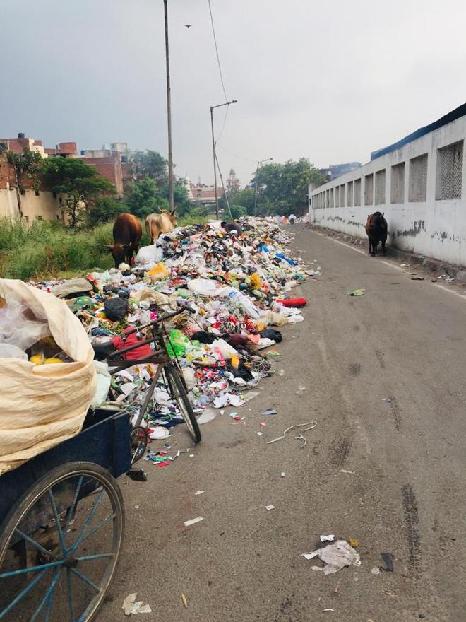 Waste yet to be removed from road near cremation ground in Shivpuri