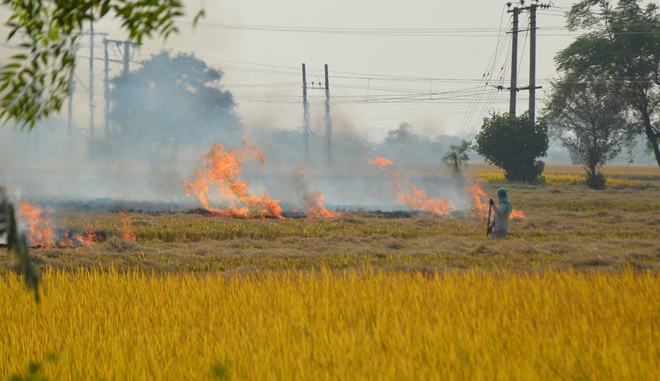 No to stubble burning, Ludhiana district’s one-third villages take pledge