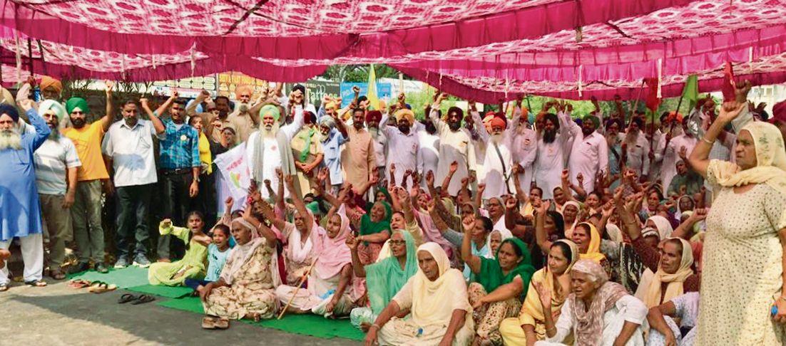 All sections of society support  anti-farm law protest in Malwa
