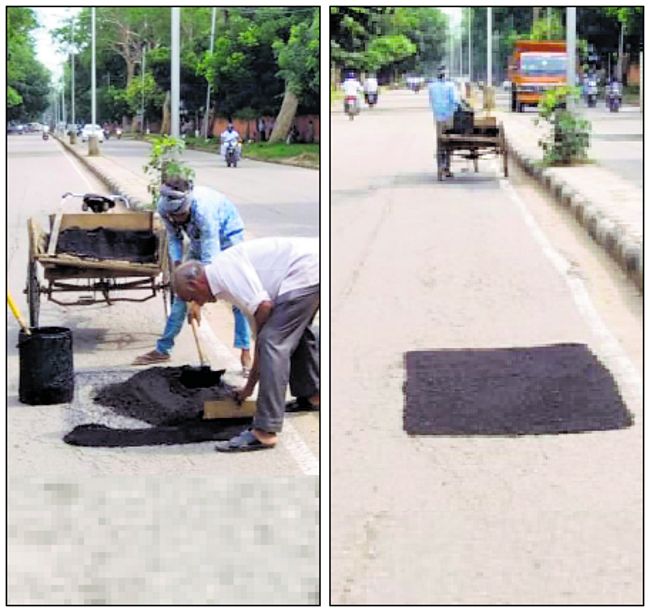 Send pics of work done, Chandigarh Municipal Corporation field staff told