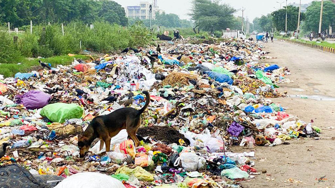 BJP leader writes to MC for removing SBS Nagar garbage dump