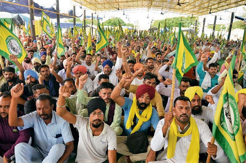 Farmers to hold kabaddi league to attract crowds to Tikri and Singhu stir sites