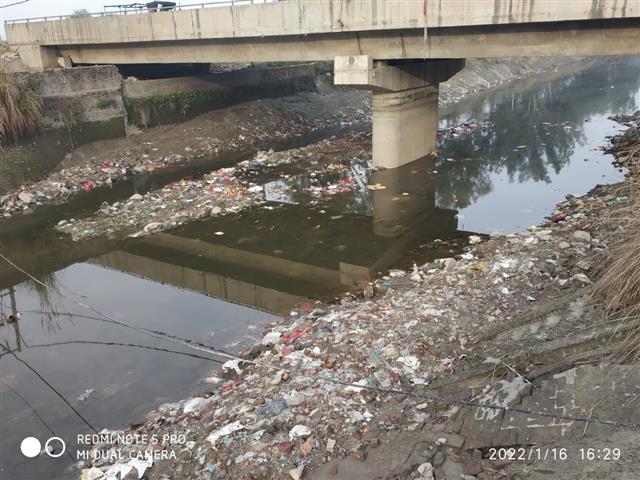 Jawaharlal Nehru canal turns into garbage dump in Rohtak