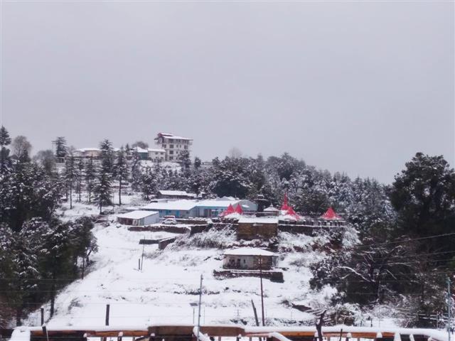 Snow in Himachal's Chail cheers up residents