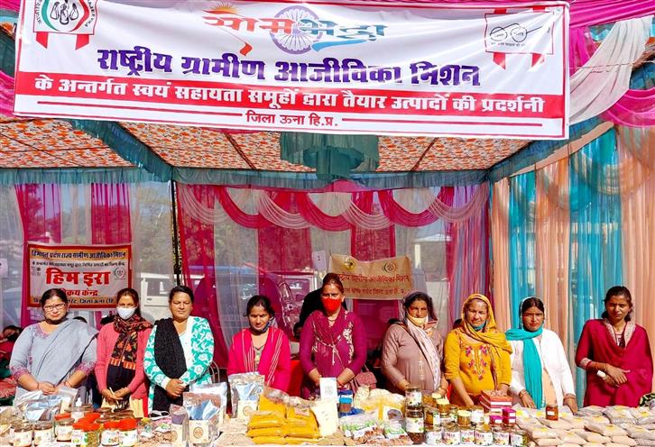 Rural marts to boost sale of goods made by women groups: Minister Virender Kanwar