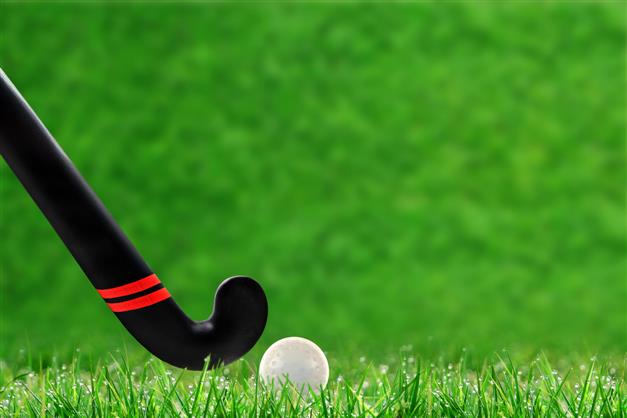 Capt Amarinder's Punjab Lok Congress gets 'Hockey Stick and Ball' as poll symbol