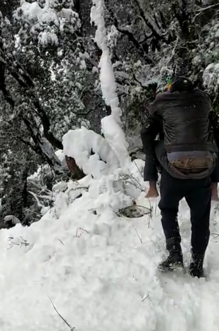 Trapped in snow, two teenagers die of hypothermia in Dharamsala mountains