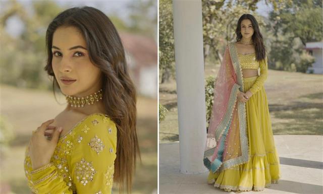 Shehnaaz Gill shines in yellow lehenga on a lovely day as 'boring day' video trends