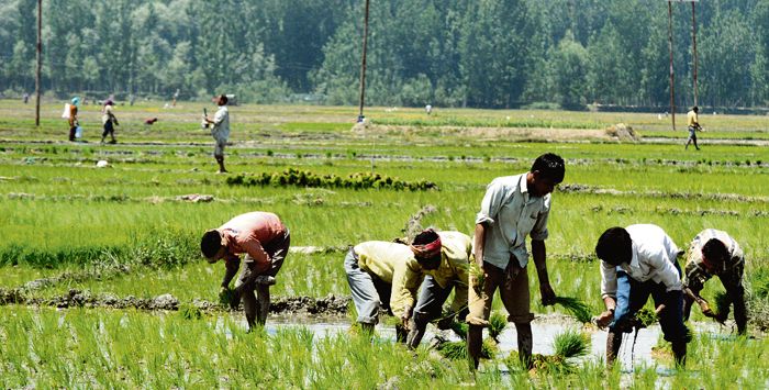CSIR to empower Lahaul farmers