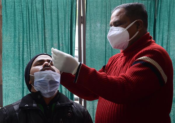 7 succumb to virus in Amritsar district, 471 test positive in last 24 hrs