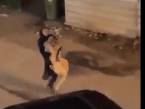 Watch shocking viral video of Kuwait woman carrying her pet lion in arms while the big cat struggles to break free