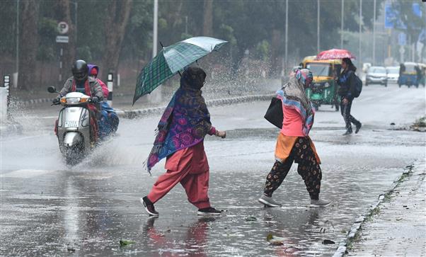 Chandigarh's wettest January since 1983