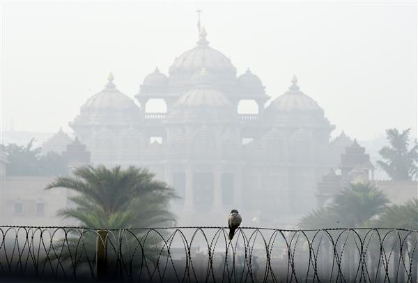 Dense fog in Delhi, visibility at Palam reduced to 50m