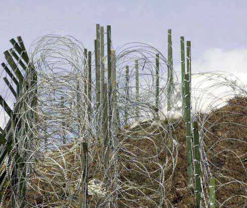 BSF deploys more troops, surveillance equipment along border in J&K as part of ‘winter strategy’