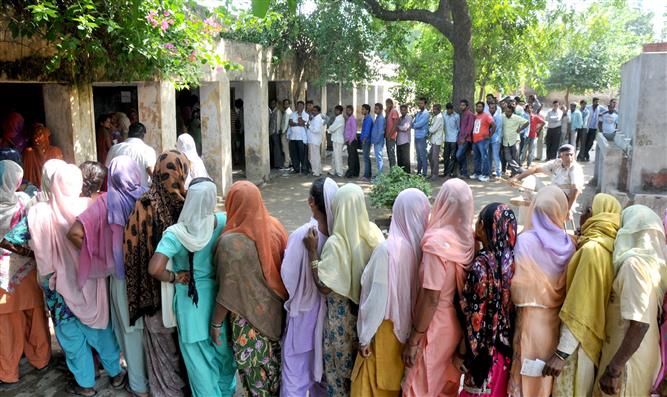 Haryana adds over 4.13L voters in one year