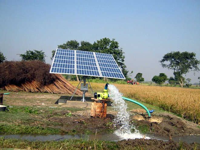 Haryana state leads in solar water pumps' installation