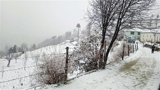 Cold wave sweeps Himachal Pradesh after snowfall in Kufri, Narkanda