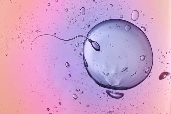 66-year-old sperm donor 'has fathered 129 children', nine are on way; gets warning from UK authorities