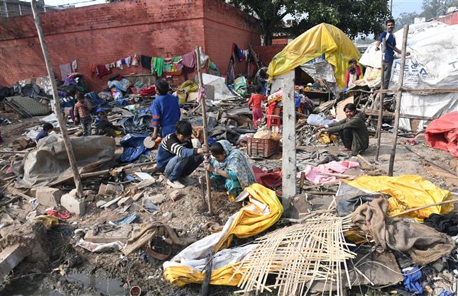 10 shanties razed at veggie market in Chandigarh