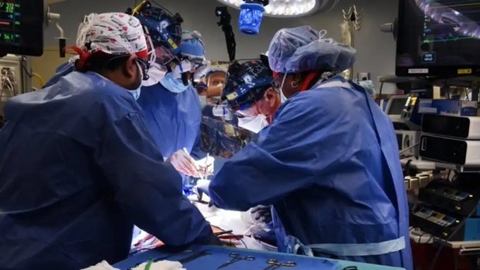 In rare medical feat, 57-year-old US man gets pig heart in world-first transplant