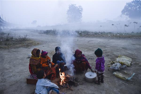 Biting cold sweeps Punjab, Haryana; Chandigarh shivers at 8.2 degrees Celsius