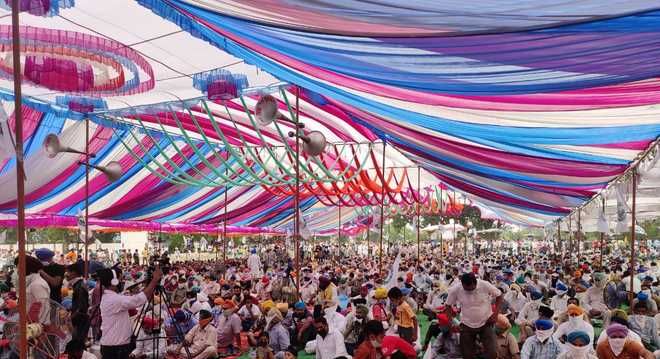 Punjab polls: Tent house owners bear brunt of Election Commission ban on physical rallies