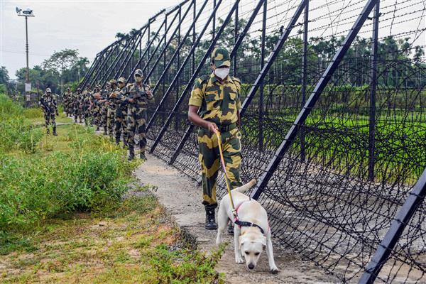 Republic Day alert: BSF focusing on cross-border tunnels to check infiltration