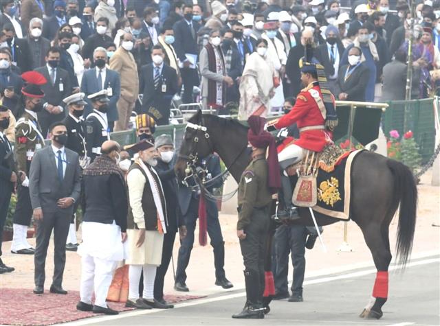 Virat, elite horse of president's guard, retires