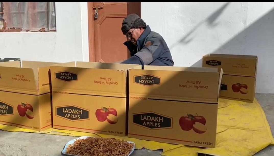 No training, apple farmers in Ladakh feel ignored