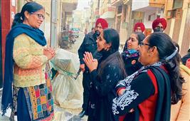 In Muktsar, gritty daughters take charge of  poll campaign