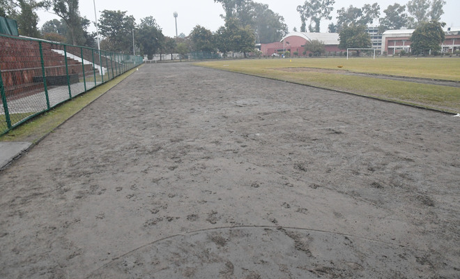 Chandigarh on the right (synthetic) track
