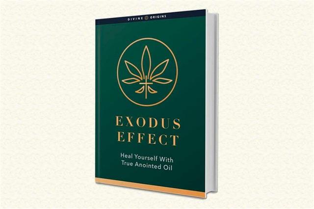 The Exodus Effect Review 2022: Is The Exodus Effect Book Scam or Legit?