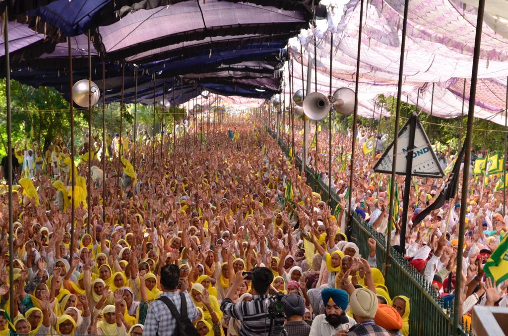Big action against Punjab government on October 20 if farmers’ demands not fulfilled: BKU