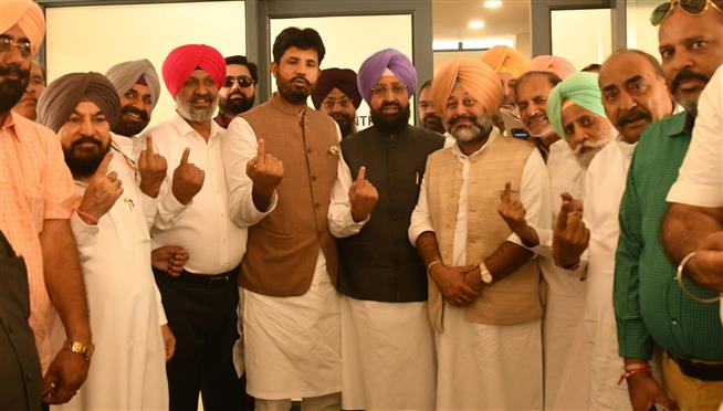 Congress president poll: 219 Punjab  delegates cast vote