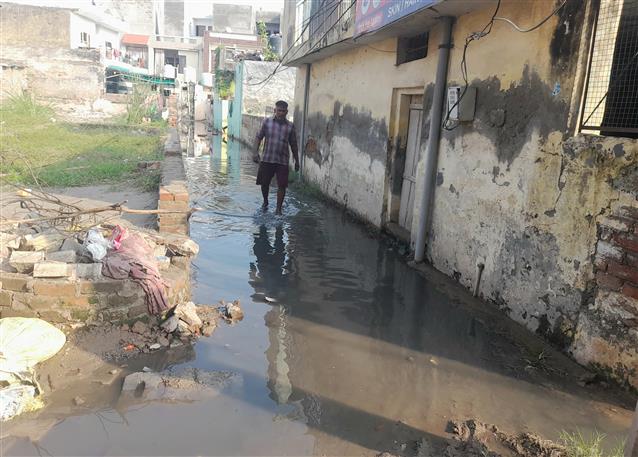 As MC president receives Swachhata award, Kharar residents brave sewage woes
